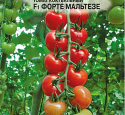 Томат Форте Мальтезе F1