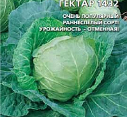 Капуста белокочанная Золотой гектар 1432