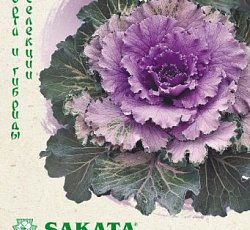 Капуста декоративная Осака розовая F1