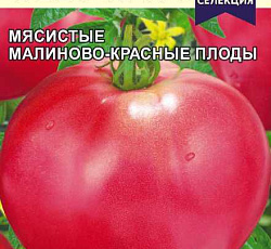 Томат Севрюга