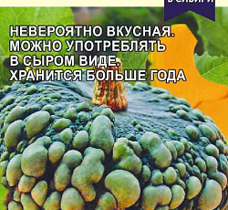 Тыква Тортилла