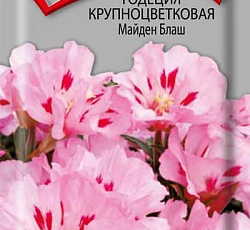 Годеция крупноцветковая Майден блаш