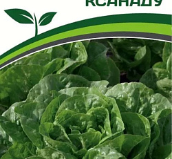 Салат Ксанаду (кочанный)