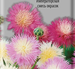 Василек мускусный Императорская смесь окрасок