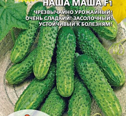 Огурец Наша Маша