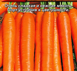 Морковь Длинная тупая без сердцевины (Лонге роте)