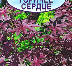 Клещевина Горячее сердце