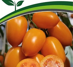 Томат Шурим F1