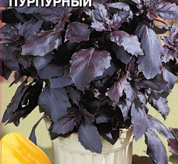 Базилик Ажур Пурпурный