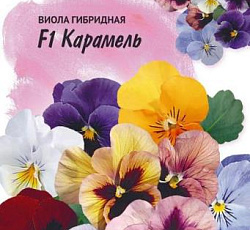 Виола Карамель F1
