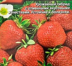 Земляника ремонтантная Вкус детства F1 (клубника)