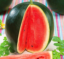 Арбуз Огонек
