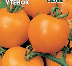 Томат Утенок