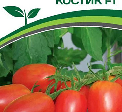 Томат Костик F1