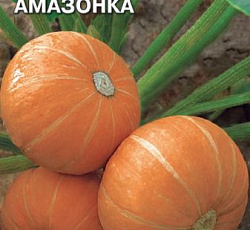 Тыква Амазонка