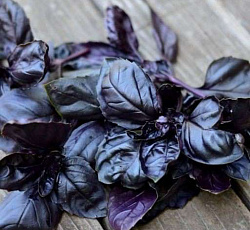 Базилик Арарат