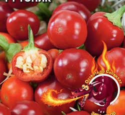 Перец острый Топик F1