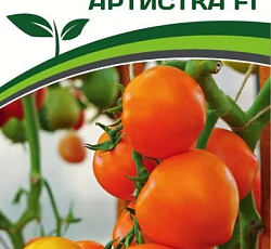 Томат Артистка F1