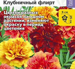 Бархатцы отклоненные Френч Дварф Клубничный флирт