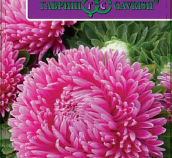 Астра Леди Корал Бриллиантово-розовая