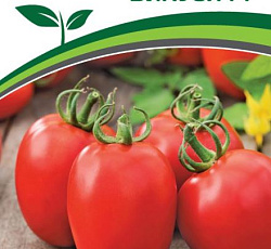 Томат Викуся F1