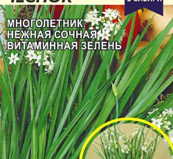 Лук душистый Китайский чеснок