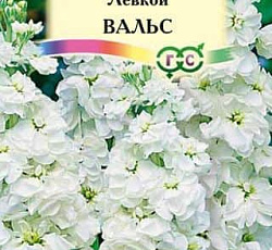 Левкой Вальс