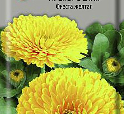Календула низкорослая Фиеста желтая