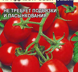Томат Новинка Приднестровья