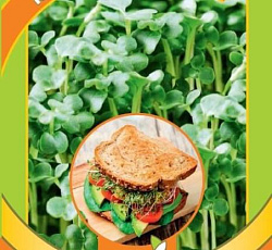 Микрозелень Капуста пекинская микс