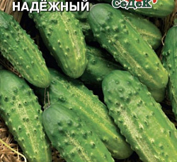 Огурец Надежный