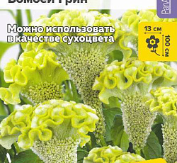 Целозия гребенчатая Бомбей Грин