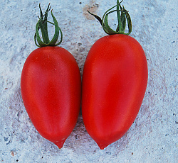 Томат Сицилийский перчик