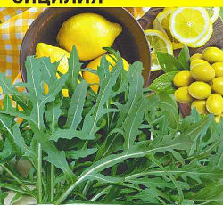 Руккола Сицилия (индау)