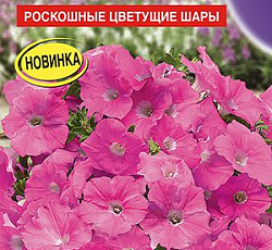 Петуния Мамбо розовая F1 (многоцветковая)