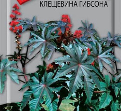 Клещевина Гибсона