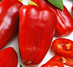 Перец сладкий Злата Прага F1