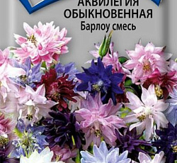 Аквилегия обыкновенная Барлоу смесь