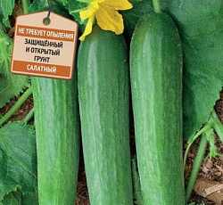 Огурец Фауст F1
