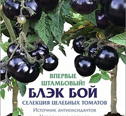 Томат Блэк бой