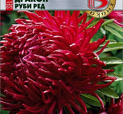 Астра китайская Дракон селект Руби Ред