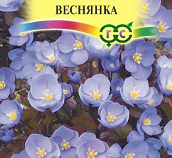 Джефферсония сомнительная Веснянка