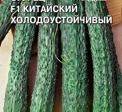 Огурец Китайский холодоустойчивый F1