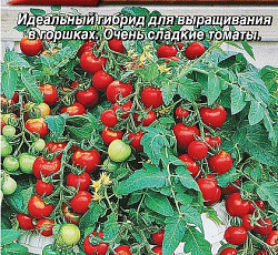 Томат Алая гроздь F1