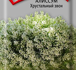 Алиссум Хрустальный звон