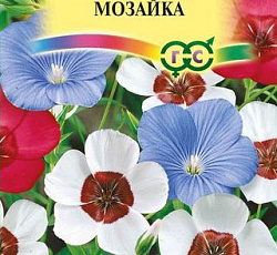Лен крупноцветковый Мозаика