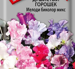 Душистый горошек Мелоди Биколор Микс