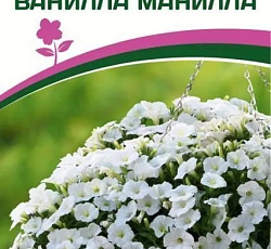 Петуния "Зацветет" Middl Ванилла Манилла F1 полуампельная