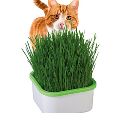 Проращиватель "Здоровья Клад" (для зеленой травки)