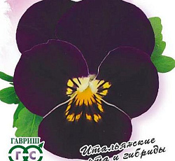 Виола Карамель пурпурная с глазком F1